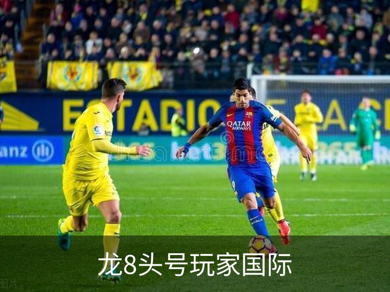 龙8头号玩家国际介绍
